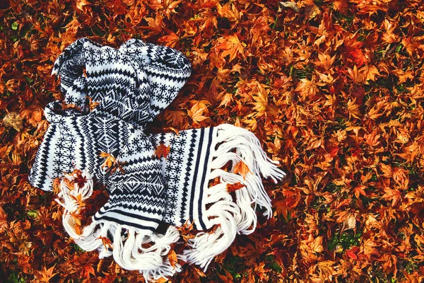 A black white scarf lies in the fallen leaves. — Stock Photo, Image