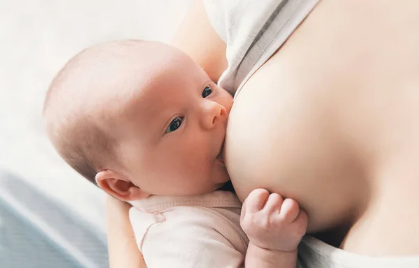 Mãe amamentando bebê recém-nascido em casa . — Fotografia de Stock