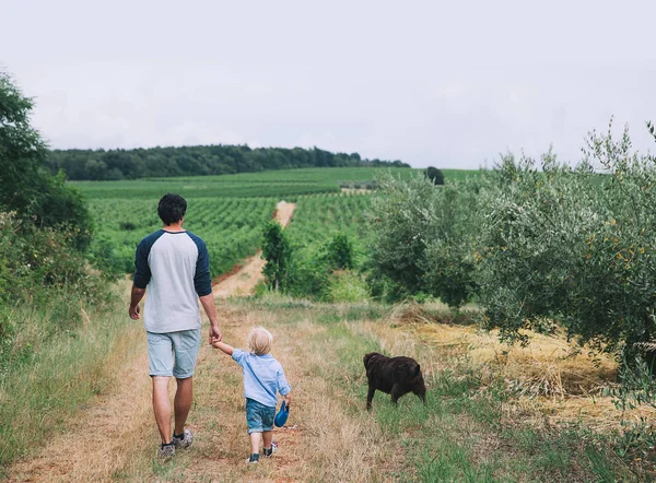 Baba ve oğul üzerinde açık havada doğa ile köpek yürüyüş. 