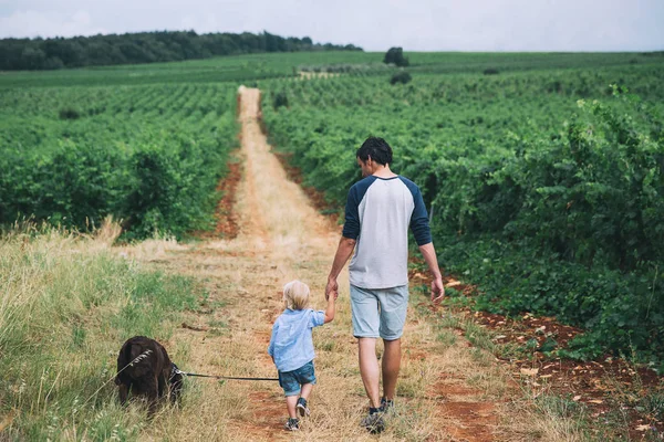 Отец и сын гуляют с собакой на природе, на открытом воздухе . — стоковое фото