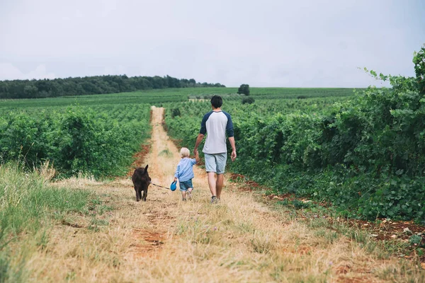 Padre e hijo paseando con el perro en la naturaleza, al aire libre . — Foto de Stock