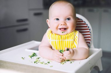 Baby's first food to feed clipart