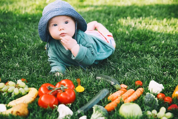 Alimentação natural saudável da criança e da família — Fotografia de Stock