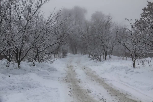 Winter Foggy Way Road Beautiful Nature Scary Fog — Stock Photo, Image