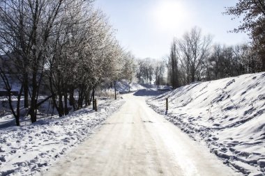 A snowy way. A road in the trees. Amazing winter. A snowy trees, a car tracks, footsteps in snow