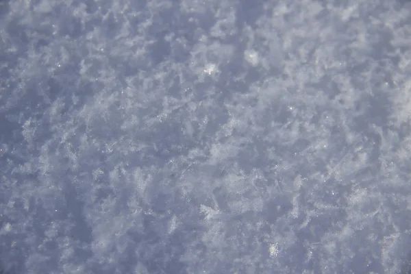 Sněhové Pozadí Snow Pattern — Stock fotografie