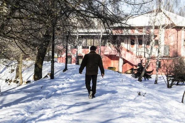 Eine Silhouette Von Menschen Die Sich Verschneiten Tagen Bewegen Konzept — Stockfoto