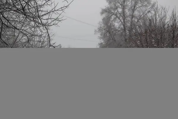 Inverno Com Maneira Nebulosa Estrada Bela Natureza Nevoeiro Assustador — Fotografia de Stock