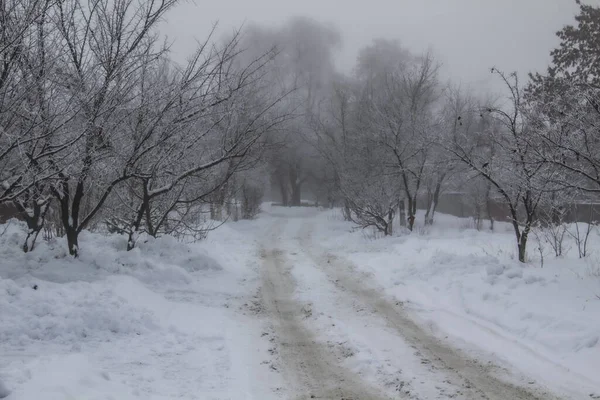 Ein Winter Nebel Straße Schöne Natur Gruseliger Nebel — Stockfoto