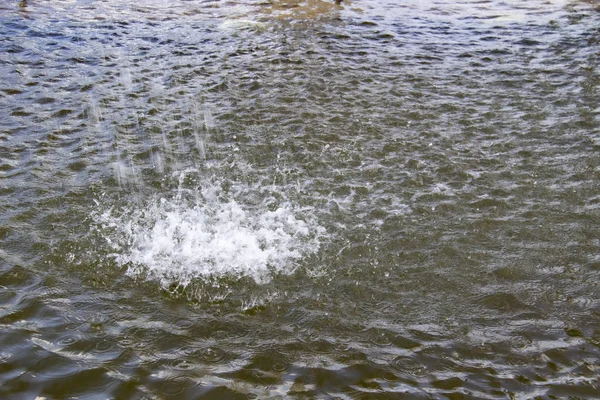水の中の水しぶき — ストック写真
