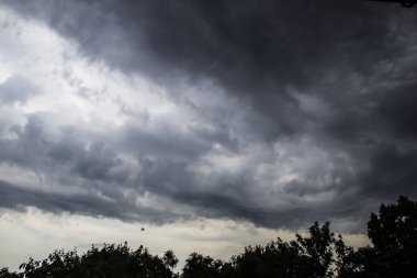 Fırtına yaklaşıyordu. Ağaçların üzerinde gri bir gökyüzü. İnanılmaz bulut manzarası. Bulutlar arka planda. Doğa bulutları boyuyor.