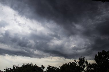 Fırtına yaklaşıyordu. Ağaçların üzerinde gri bir gökyüzü. İnanılmaz bulut manzarası. Bulutlar arka planda. Doğa bulutları boyuyor.