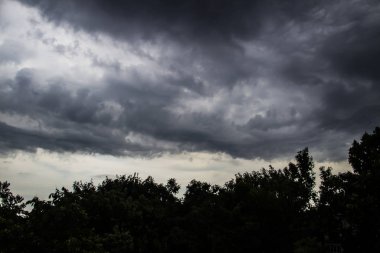 Fırtına yaklaşıyordu. Ağaçların üzerinde gri bir gökyüzü. İnanılmaz bulut manzarası. Bulutlar arka planda. Doğa bulutları boyuyor.