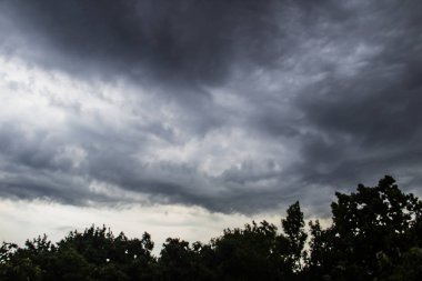 Fırtına yaklaşıyordu. Ağaçların üzerinde gri bir gökyüzü. İnanılmaz bulut manzarası. Bulutlar arka planda. Doğa bulutları boyuyor.
