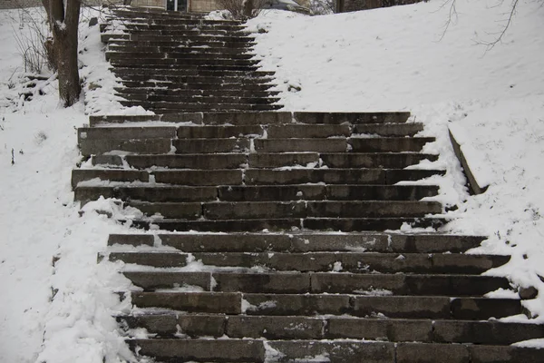 Stairs up in the snow. A stone stairs. The winter day.