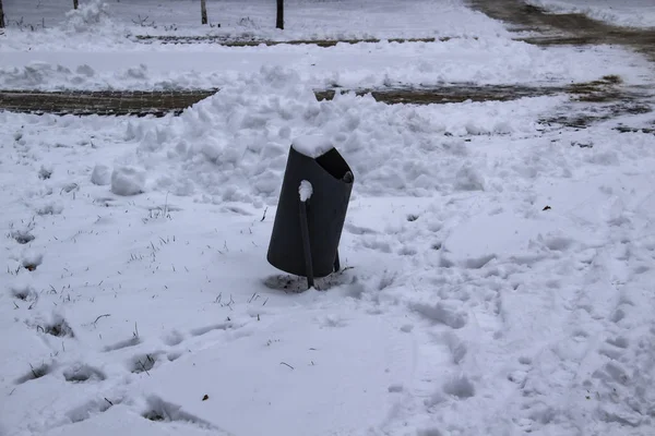 The trash can from metal in the snow in the park. A winter day in the park in Ukraine