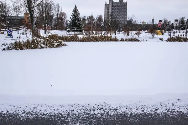 Ein Zugefrorener See Park Winter Der Park Mit See Der — Stockfoto