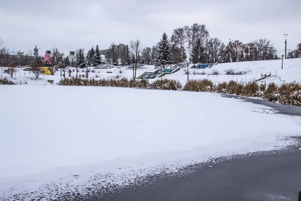 Ein Zugefrorener See Park Winter Der Park Mit See Der — Stockfoto