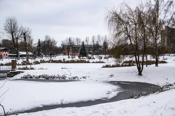 Ein Zugefrorener See Park Winter Der Park Mit See Der — Stockfoto