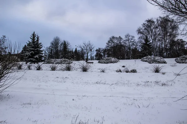 Toller Tag Park Winter Der Park Der Stadt Sumy — Stockfoto