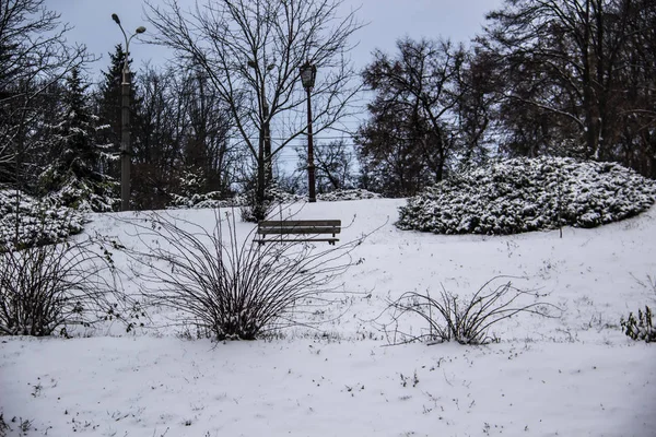 Egy Park Télen Egy Pad Parkban — Stock Fotó