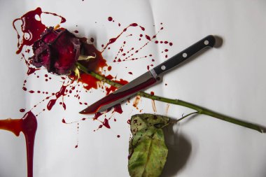 Beyaz arka planda bıçaklı Kanlı bir gül. Bir Burgundy gülü ve kanında bir bıçak