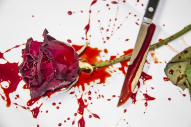 Beyaz arka planda bıçaklı Kanlı bir gül. Bir Burgundy gülü ve kanında bir bıçak
