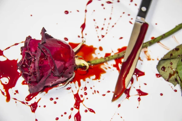 Eine Blutige Rose Mit Dem Messer Auf Weißem Hintergrund Eine — Stockfoto