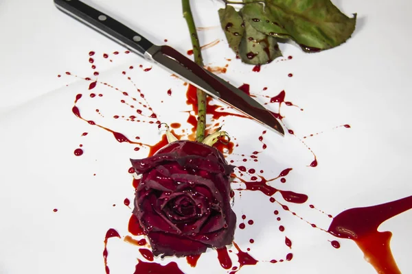 一只血淋淋的玫瑰 背景是白色的刀 勃艮第玫瑰和血液中的刀 — 图库照片
