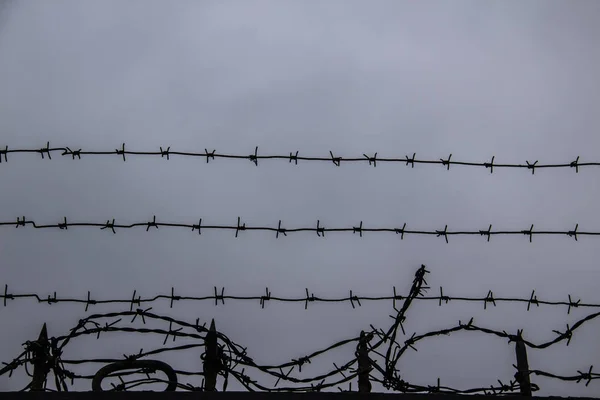 灰色の空を背景に有刺鉄線のフェンス — ストック写真