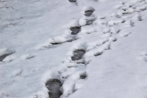 Ein Schritt Vor Schneehintergrund Fußabdrücke Auf Weißem Schnee Hintergrund Der — Stockfoto