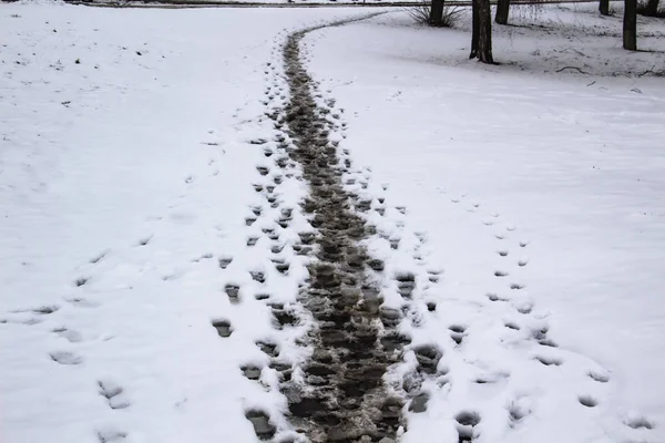 Śnieżna Droga Ludzkimi Śladami Ślady Stóp Ludzkich Mokrym Śniegu — Zdjęcie stockowe