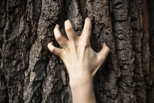 Hand Van Vrouw Beweegt Boom Kan Worden Gebruikt Het Enge — Stockfoto