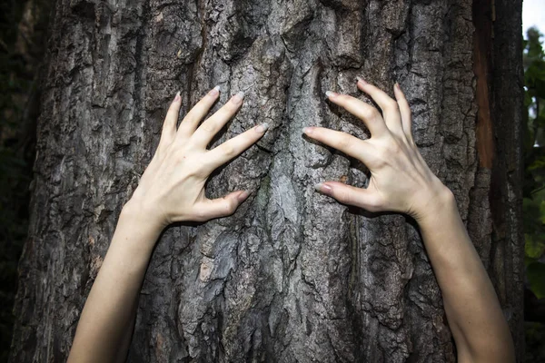 Die Hände Der Frau Bewegen Sich Auf Dem Baum Kann — Stockfoto