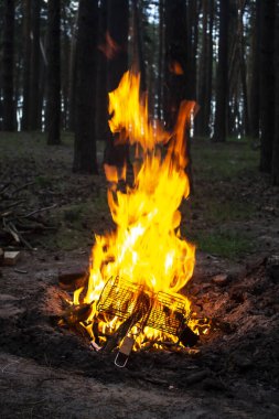 Arka plandaki ağaçlara karşı ormanda inanılmaz bir yangın. Ormanda şenlik ateşi. Yangının turuncu alevi