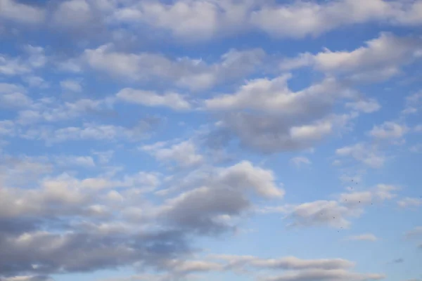 青空に雲 青空を背景にした美しい雲 空の美しい雲のパターン — ストック写真