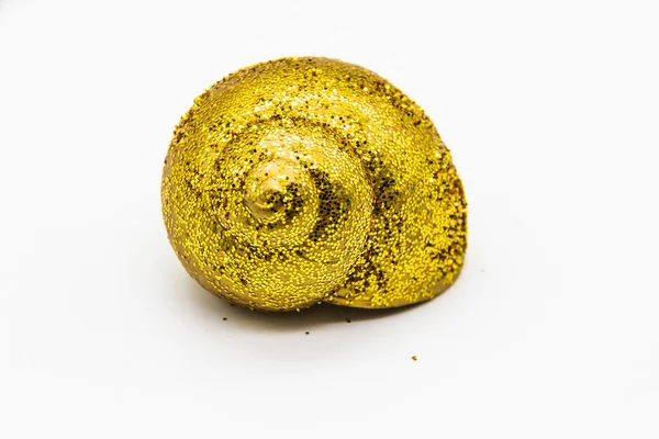 Empty Shell Snail Gold Glitter White Background Snail Shell Paint — Stock Photo, Image