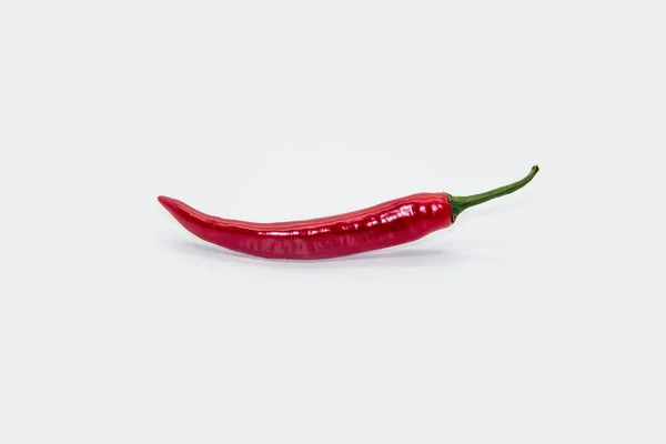 Chili Pepper Isolated White Background Hot Ripe Chili Pepper Gmo — Stock Photo, Image