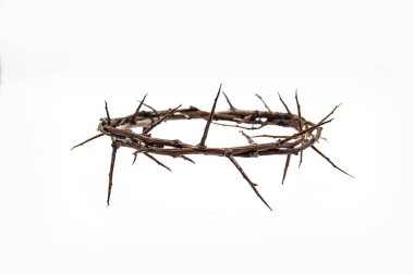 A crown of thorns on a white background. Conceptual phototo use in the design. A wreath of branches with thorns clipart