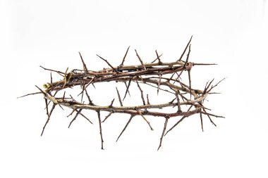 A crown of thorns on a white background. Conceptual phototo use in the design. A wreath of branches with thorns clipart