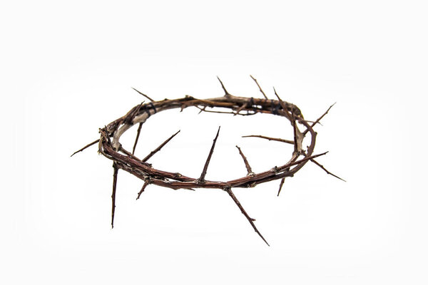A crown of thorns on a white background. Conceptual phototo use in the design. A wreath of branches with thorns