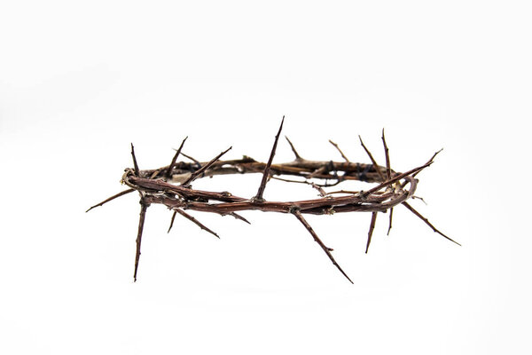 A crown of thorns on a white background. Conceptual phototo use in the design. A wreath of branches with thorns