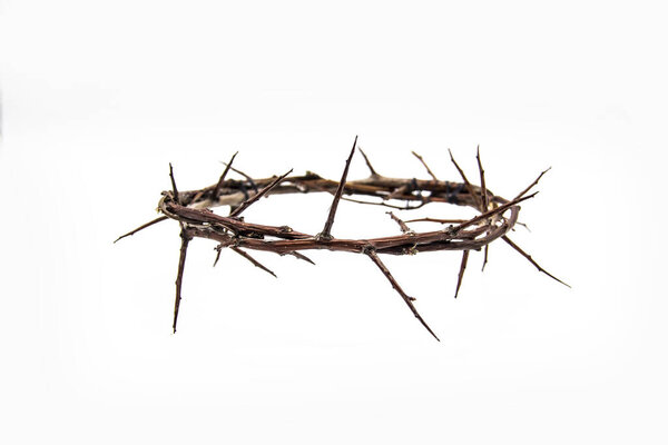 A crown of thorns on a white background. Conceptual phototo use in the design. A wreath of branches with thorns
