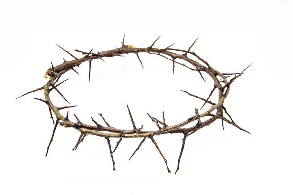 A crown of thorns on a white background. Conceptual phototo use in the design. A wreath of branches with thorns