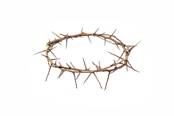 A crown of thorns on a white background. Conceptual phototo use in the design. A wreath of branches with thorns