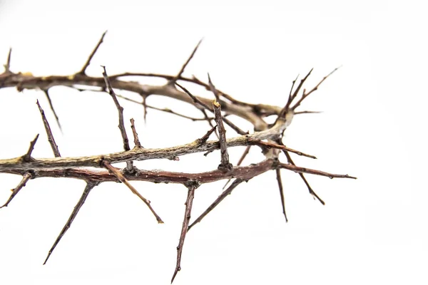 Crown Thorns White Background Conceptual Phototo Use Design Wreath Branches — Stock Photo, Image