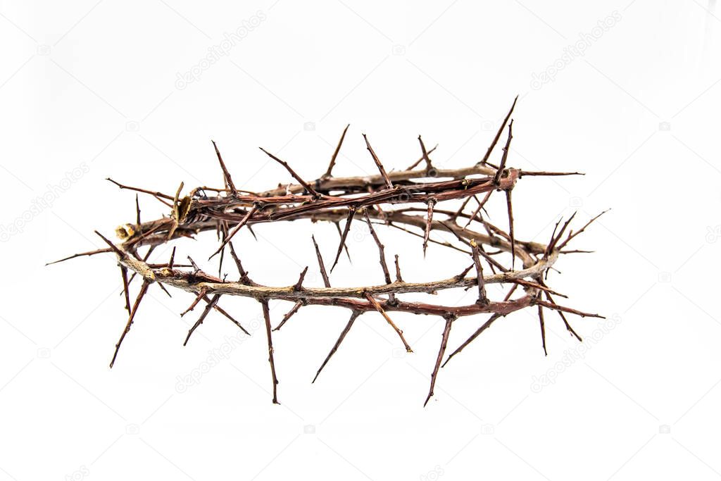 A crown of thorns on a white background. Conceptual phototo use in the design. A wreath of branches with thorns