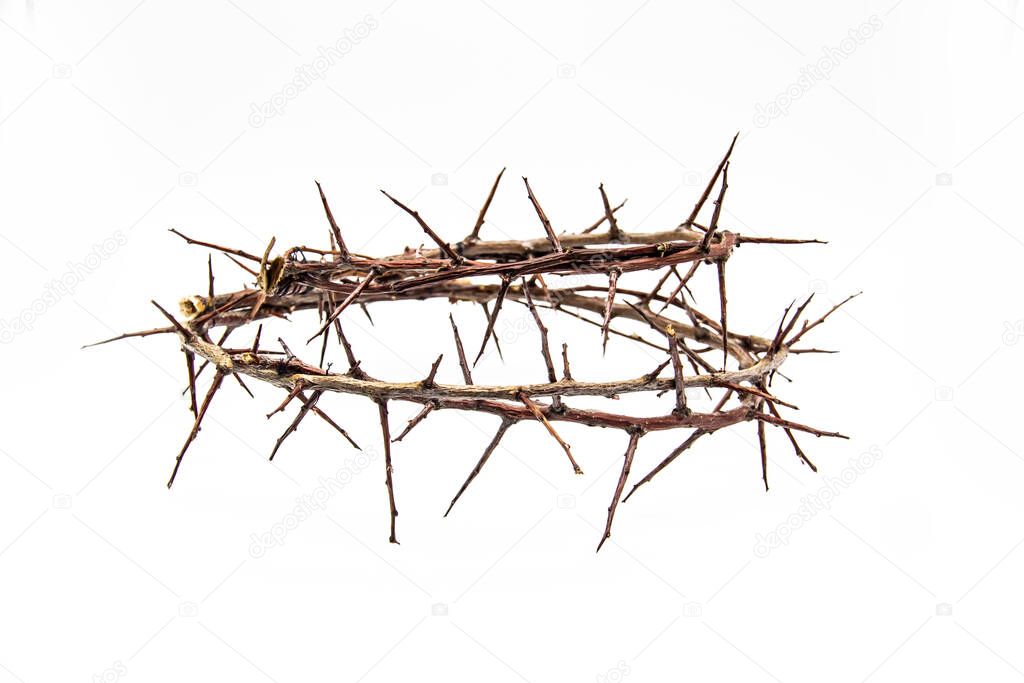 A crown of thorns on a white background. Conceptual phototo use in the design. A wreath of branches with thorns