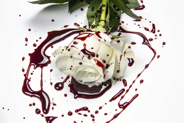 Beautiful Bloody White Rose White Background Bloody Rose Conceptual Photo — Stock Photo, Image