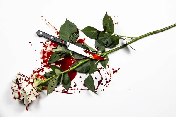 Schöne Und Blutige Weiße Rose Auf Weißem Hintergrund Blutige Rose — Stockfoto